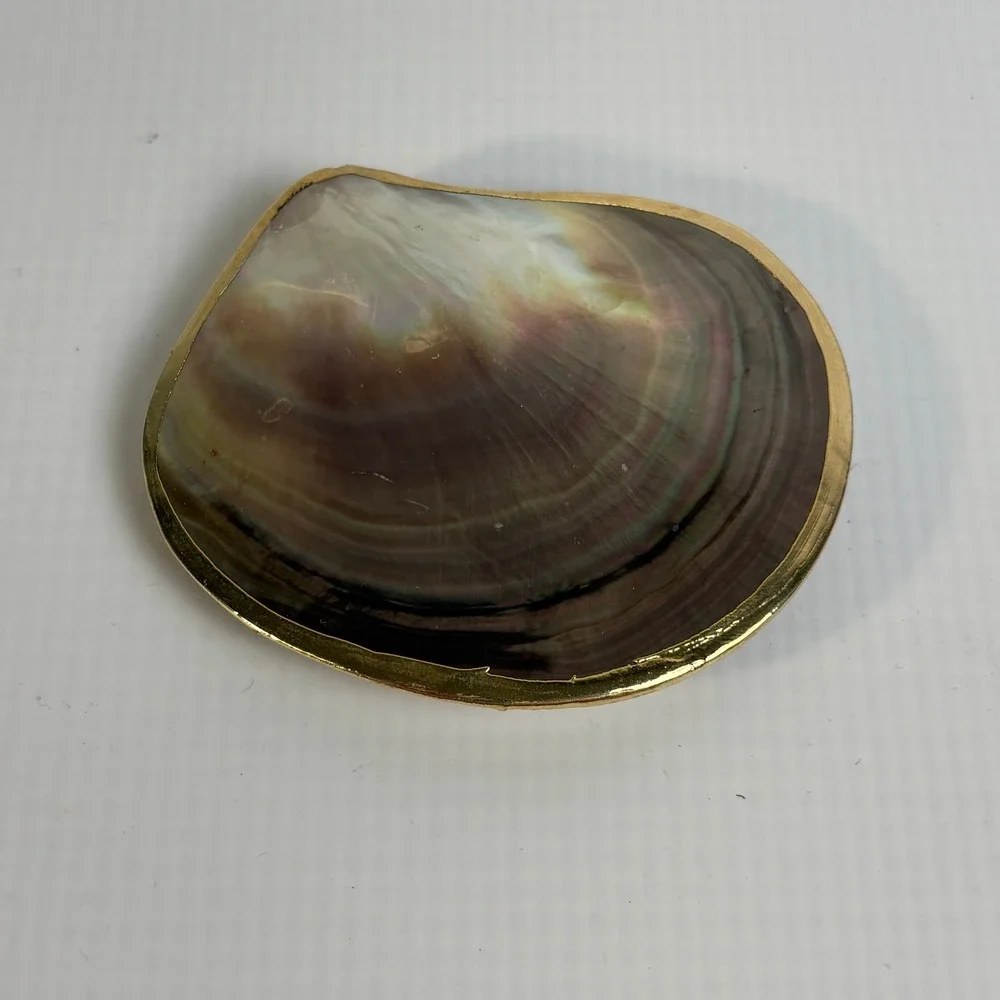 Vintage Iridescent Shell Scarf Slide Gold Tone Trim Clam Shell Belt Buckle 3.25